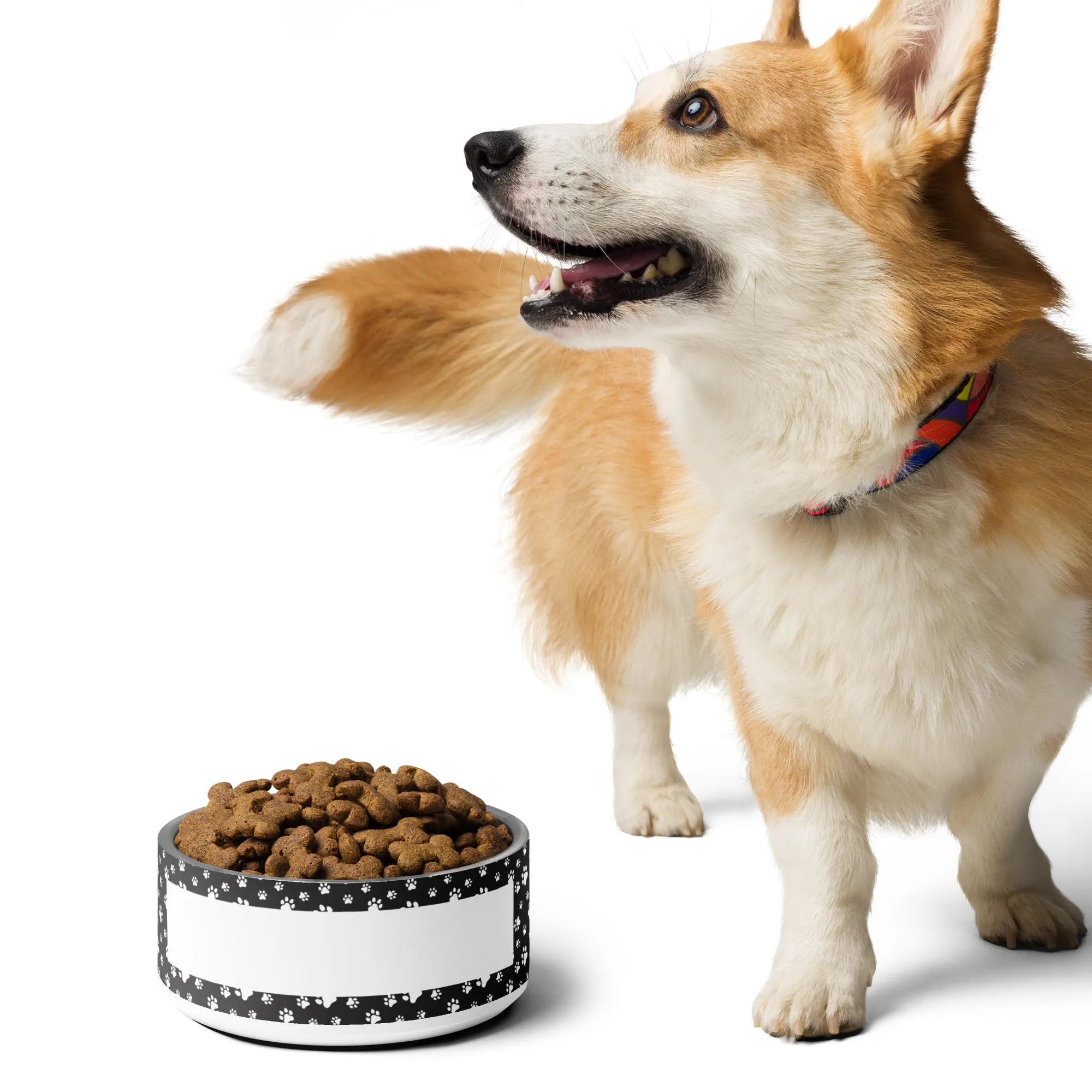 Gamelle Personnalisable pour chien