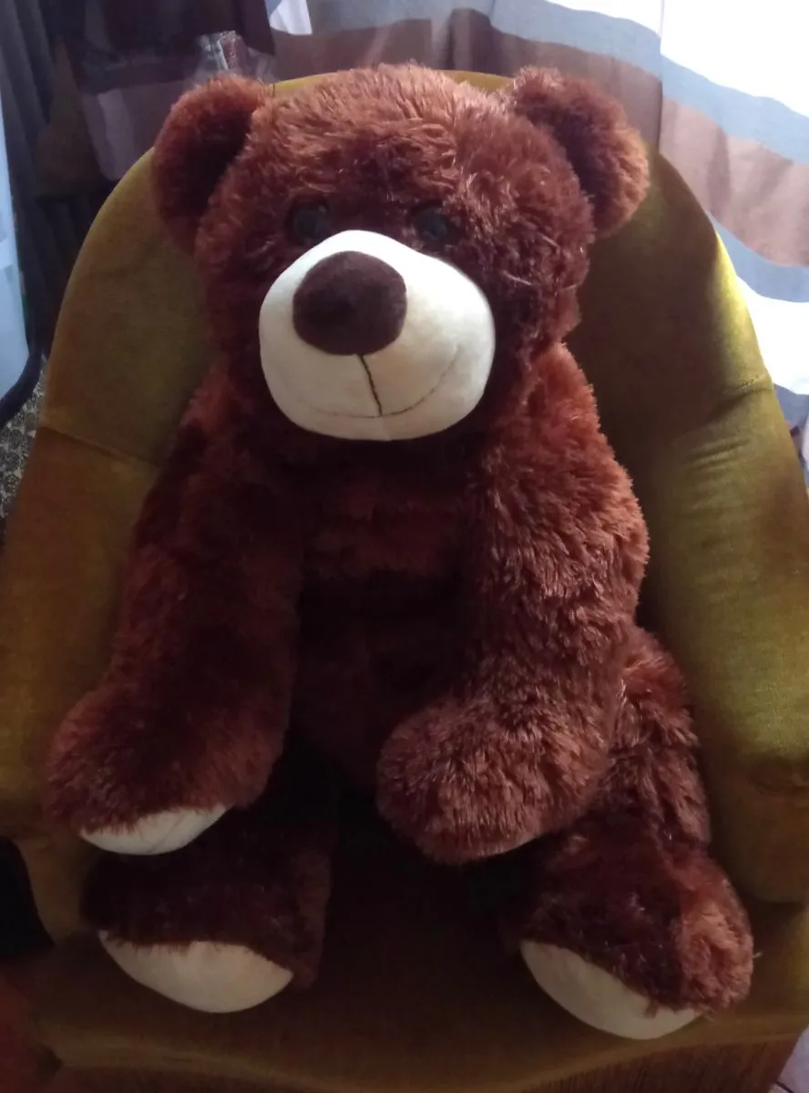 Grand ours en peluche