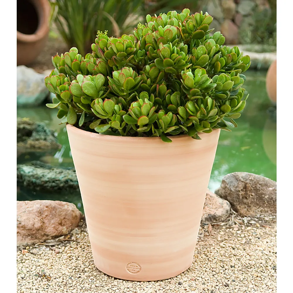 Pot Vaso, en terre cuite claire Ø 33 x H. 33 cm
