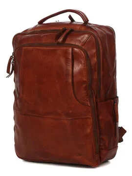 Sac à dos ordinateur Bear Design Cow Lavato Jayden XL 17.3 pouces