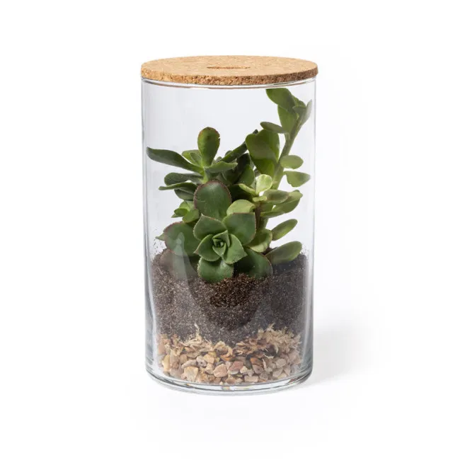 Terrarium personnalisable avec logo 